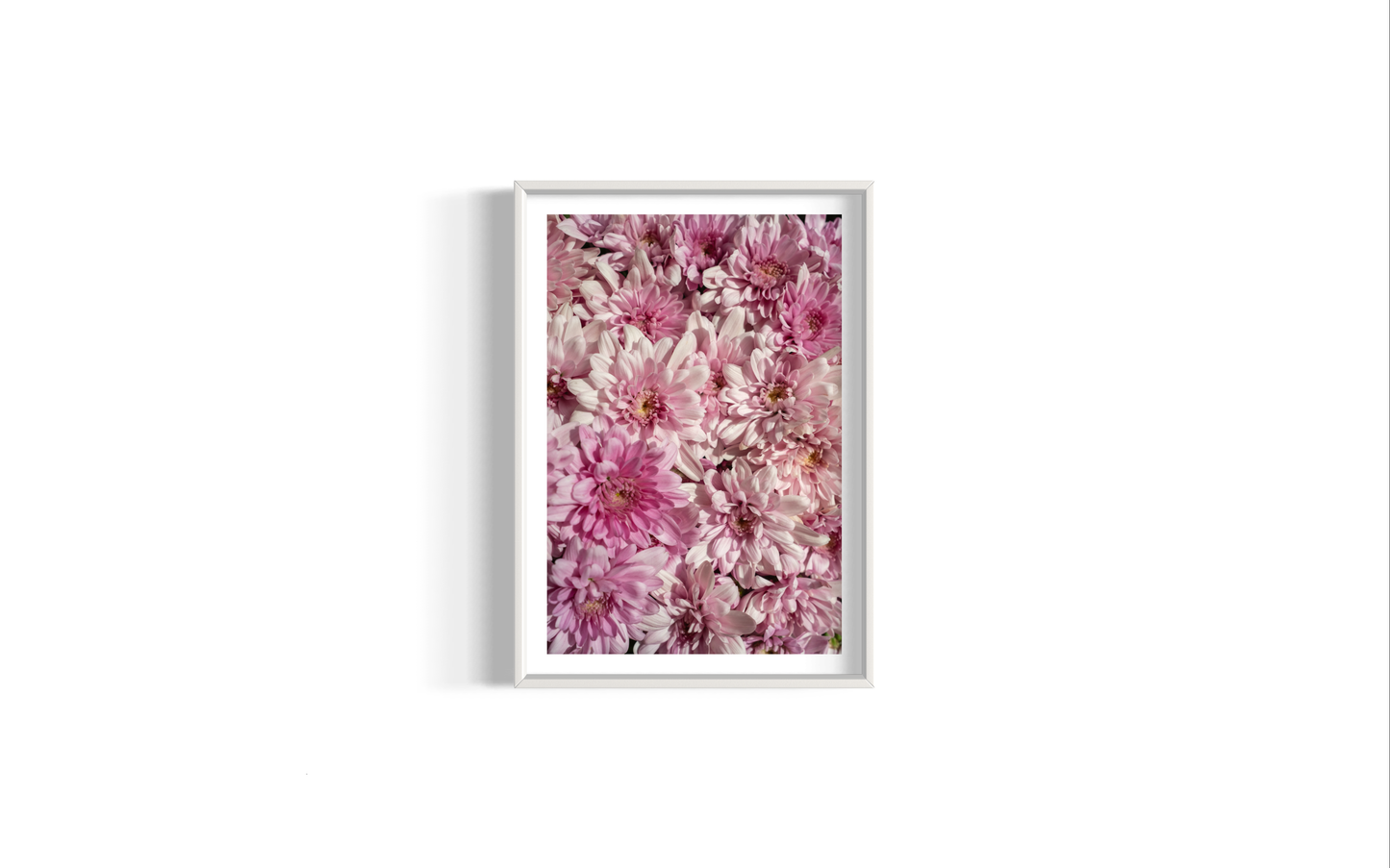 Wild Flower