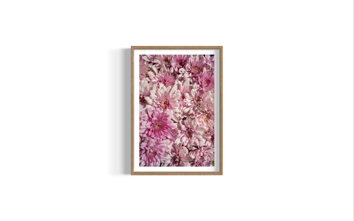 Wild Flower